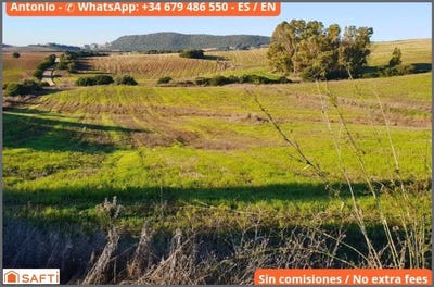/international/es/arcos-de-la-frontera-andalusia-310101283130/?lang=fr