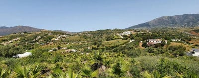 /international/es/mijas-andalusia-310100488274/