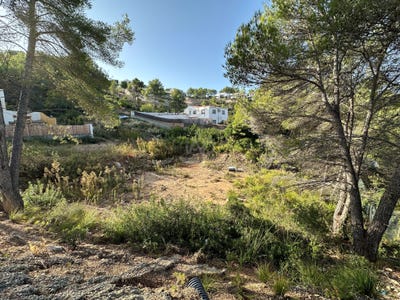 /international/es/sant-pere-de-ribes-catalonia-310107421966/