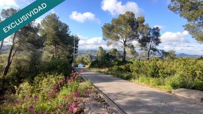 /international/es/cervello-catalonia-310101279267/?lang=zh-tw