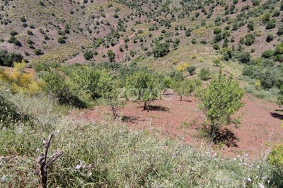 /international/es/barriada-matagatos-malaga-andalusia-120067911967/?lang=zh-tw