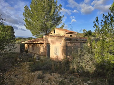 /international/es/alborache-valencian-community-310109501896/