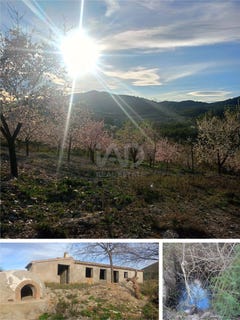 /international/es/diseminado-parrilla-lorca-region-of-murcia-310107018124/