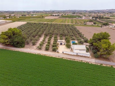 /international/es/dolores-a-dolores-valencian-community-310108925224/?lang=es