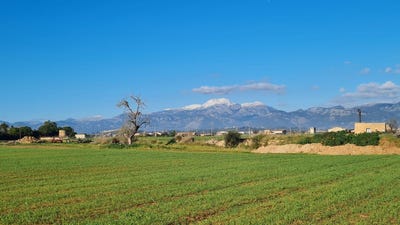 /international/es/sa-pobla-balearic-islands-310101560185/?lang=it