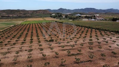 /international/es/cl-escariuela-los-jopos-escucha-la-lorca-region-of-murcia-310106415555/
