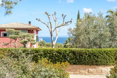 /international/es/calvia-balearic-islands-310103454700/
