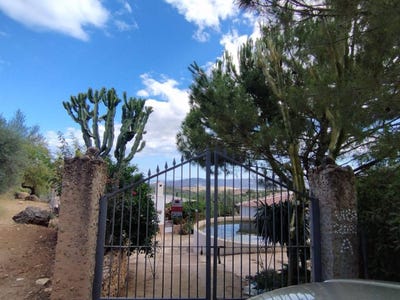 /international/es/periana-andalusia-310098417545/