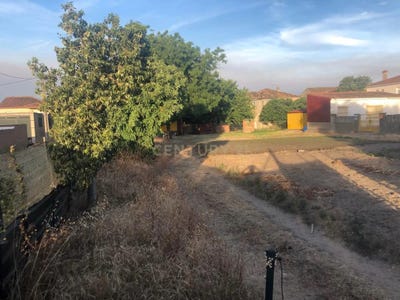 /international/es/algeciras-andalusia-310098388282/