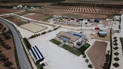 /international/es/pinoso-valencian-community-310108923943/