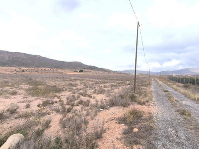 /international/es/canada-de-la-lena-region-of-murcia-310104420453/
