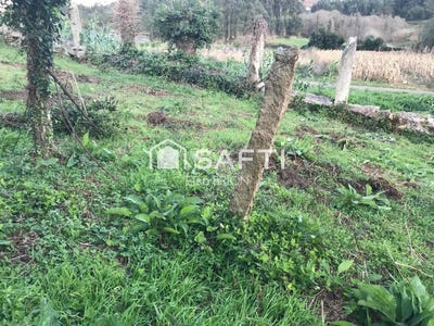 /international/es/porto-do-son-galicia-310105742292/