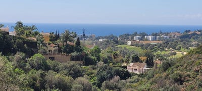 /international/es/el-rosario-canary-islands-310100884235/