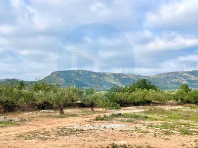 /international/es/camarles-catalonia-310098730348/