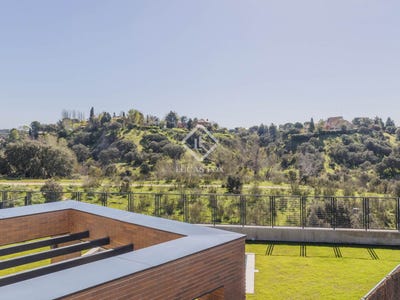 /international/es/las-rozas-madrid-310098797835/