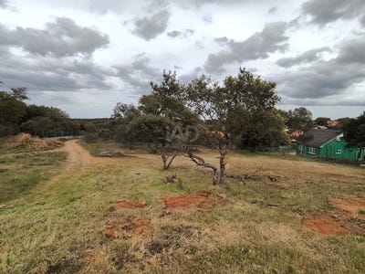 /international/es/calle-drago-carrascal-de-barregas-castile-and-leon-310107671244/
