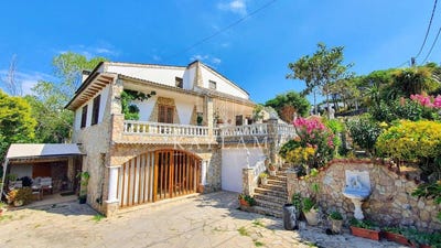 /international/es/lloret-de-mar-catalonia-310100914764/