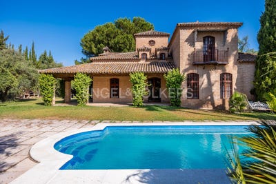 /international/es/valencina-de-la-concepcion-andalusia-310100990319/