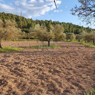 /international/es/castellons-flix-catalonia-310108421318/