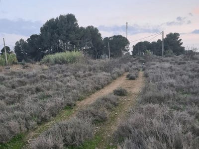 /international/es/lleida-catalonia-310108860540/
