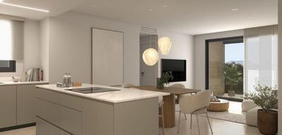 /international/es/catral-valencian-community-310106286784/