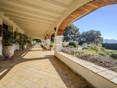 /international/es/denia-valencian-community-310106605880/