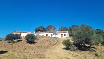 /international/es/cadiz-andalusia-310110005597/