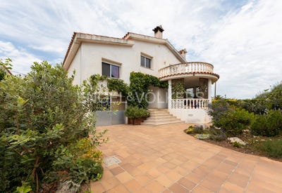 /international/es/vinaros-valencian-community-310100641516/