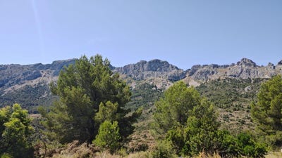/international/es/altea-valencian-community-310109043578/
