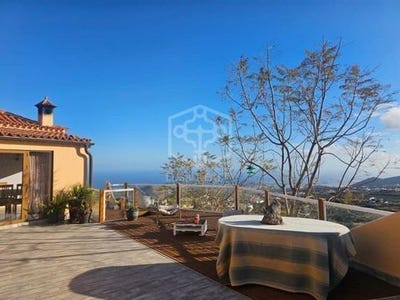 /international/es/san-miguel-de-abona-canary-islands-310109968468/