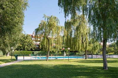 /international/es/pozuelo-de-alarcon-madrid-310100644559/