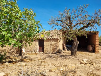 /international/es/poligono-72-parcela-26-tivissa-catalonia-310119646499/