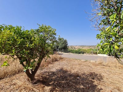 /international/es/37-carrer-maria-santa-margalida-balearic-islands-310101735619/