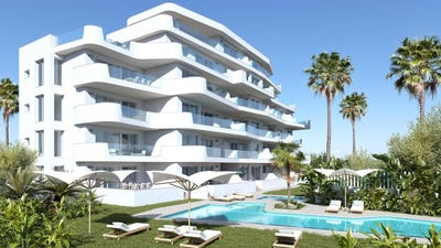 /international/es/mil-palmeras-a-mil-palmeras-valencian-community-310108701336/