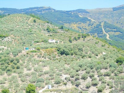 /international/es/canillas-de-albaida-andalusia-310101276541/