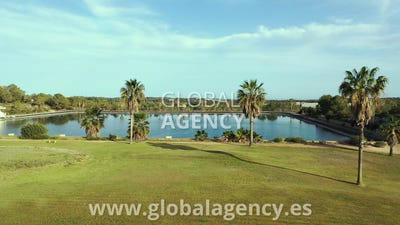 /international/es/alicante-alicante-valencian-community-310105744843/