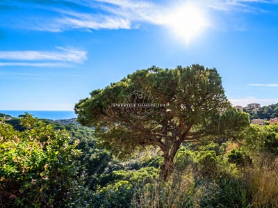 /international/es/lloret-de-mar-catalonia-310109923820/
