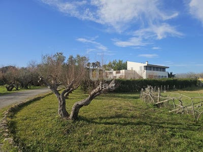 /international/es/alcudia-andalusia-310100712486/