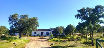 /international/es/el-ronquillo-andalusia-310106395693/