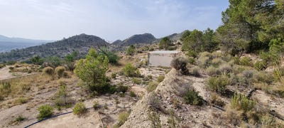 /international/es/portimao-valencian-community-310100540585/?lang=zh-tw