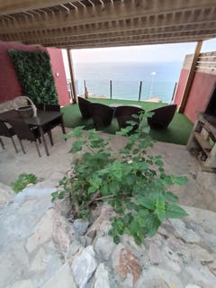 /international/es/carrer-de-l-argentina-portimao-balearic-islands-310110225465/