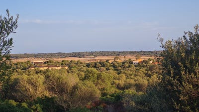 /international/es/387-diseminado-poligono-2-santanyi-balearic-islands-310101736031/