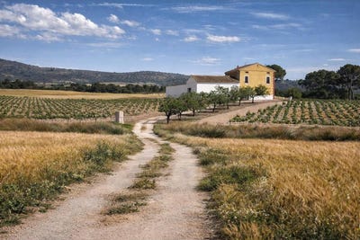 /international/es/villena-valencian-community-310108261915/