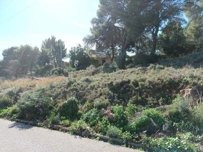 /international/es/serra-valencian-community-310098415036/