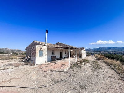 /international/es/elda-valencian-community-310108953421/