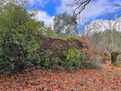 /international/es/ds-alamillo-galaroza-andalusia-310104565596/