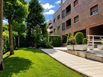 /international/es/pozuelo-de-alarcon-madrid-310108598826/