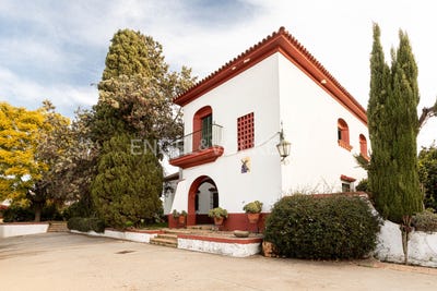 /international/es/gines-andalusia-310100640319/