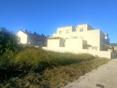 /international/es/vernissa-vilallonga-villalonga-valencian-community-310108368747/