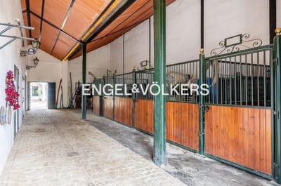 /international/es/valencina-de-la-concepcion-andalusia-310100638908/